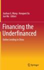Image for Financing the Underfinanced