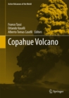 Image for Copahue Volcano