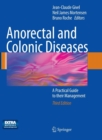 Image for Anorectal and Colonic Diseases : A Practical Guide to their Management