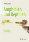 Image for Amphibien und Reptilien