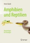 Image for Amphibien und Reptilien: Herpetologie fur Einsteiger