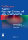 Image for The Glaucomas : Volume II - Open Angle Glaucoma and Angle Closure Glaucoma