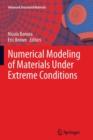 Image for Numerical Modeling of Materials Under Extreme Conditions