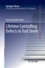 Image for Lifetime Controlling Defects in Tool Steels