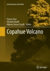 Image for Copahue Volcano