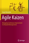 Image for Agile Kaizen : Managing Continuous Improvement Far Beyond Retrospectives