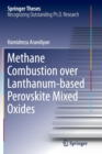 Image for Methane Combustion over Lanthanum-based Perovskite Mixed Oxides