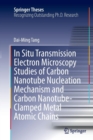 Image for In Situ Transmission Electron Microscopy Studies of Carbon Nanotube Nucleation Mechanism and Carbon Nanotube-Clamped Metal Atomic Chains