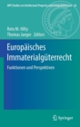 Image for Europaisches Immaterialguterrecht : Funktionen und Perspektiven