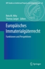 Image for Europaisches Immaterialguterrecht: Funktionen und Perspektiven