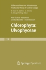 Image for Freshwater Flora of Central Europe, Vol 13: Chlorophyta: Ulvophyceae (Sußwasserflora von Mitteleuropa,  Bd. 13: Chlorophyta: Ulvophyceae)