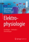 Image for Elektrophysiologie: Grundlagen - Methoden - Anwendungen