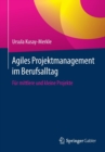 Image for Agiles Projektmanagement Im Berufsalltag : Fur Mittlere Und Kleine Projekte
