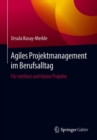 Image for Agiles Projektmanagement im Berufsalltag: Fur mittlere und kleine Projekte