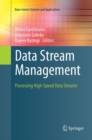 Image for Data Stream Management : Processing High-Speed Data Streams