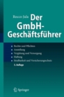 Image for Der GmbH-Geschaftsfuhrer: Rechte und Pflichten, Anstellung, Vergutung und Versorgung, Haftung, Strafbarkeit und Versicherungsschutz