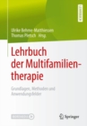 Image for Lehrbuch der Multifamilientherapie