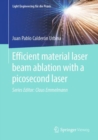 Image for Efficient Material Laser Beam Ablation With a Picosecond Laser