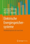 Image for Elektrische Energiespeichersysteme