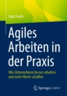 Image for Agiles Arbeiten in Der Praxis: Wie Unternehmen Besser Arbeiten Und Mehr Werte Schaffen
