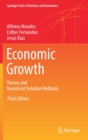 Image for Economic Growth : Theory and Numerical Solution Methods