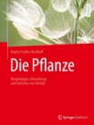 Image for Die Pflanze