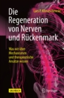 Image for Die Regeneration Von Nerven Und Ruckenmark: Was Wir Uber Mechanismen Und Therapeutische Ansatze Wissen