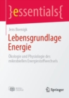 Image for Lebensgrundlage Energie : Okologie und Physiologie des mikrobiellen Energiestoffwechsels