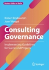 Image for Consulting governance  : implementing guidelines for successful projects