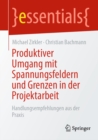 Image for Produktiver Umgang Mit Spannungsfeldern Und Grenzen in Der Projektarbeit: Handlungsempfehlungen Aus Der Praxis