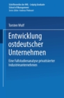 Image for Entwicklung ostdeutscher Unternehmen: Eine Fallstudienanalyse privatisierter Industrieunternehmen