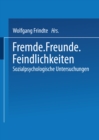 Image for Fremde * Freunde * Feindlichkeiten: Sozialpsychologische Untersuchungen