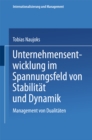 Image for Unternehmensentwicklung im Spannungsfeld von Stabilitat und Dynamik: Management von Dualitaten.