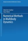 Image for Numerical Methods in Multibody Dynamics