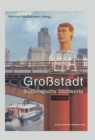 Image for Grostadt: Soziologische Stichworte