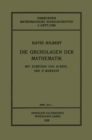 Image for Die Grundlagen der Mathematik