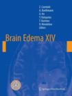 Image for Brain Edema XIV