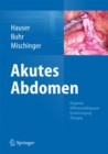 Image for Akutes Abdomen: Diagnose - Differenzialdiagnose - Erstversorgung - Therapie