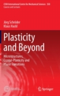Image for Plasticity and Beyond : Microstructures, Crystal-Plasticity and Phase Transitions