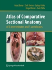 Image for Atlas of Comparative Sectional Anatomy of 6 invertebrates and 5 vertebrates