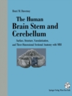 Image for Human Brain Stem and Cerebellum: Surface, Structure, Vascularization, and Three-Dimensional Sectional Anatomy, with MRI