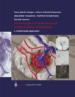 Image for Neurosurgery of Arteriovenous Malformations and Fistulas: A Multimodal Approach