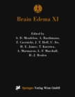 Image for Brain Edema XI: Proceedings of the 11th International Symposium, Newcastle-upon-Tyne, United Kingdom, June 6-10, 1999 : 76