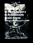 Image for Strategies of Microsurgery in Problematic Brain Areas: with Special Reference to NMR