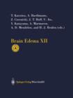 Image for Brain Edema XII : Proceedings of the 12th International Symposium, Hakone, Japan, November 10–13, 2002