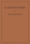 Image for Elektrochemie : Theoretische Grundlagen und Anwendungen