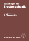 Image for Grundlagen der Bruchmechanik