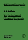 Image for Nucleolus and Ribosome Biogenesis