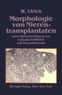 Image for Morphologie von Nierentransplantaten: unter Berucksichtigung von Ciclosporineffekten und Virusinfektionen