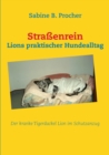 Image for Strassenrein : Lions praktischer Hundealltag